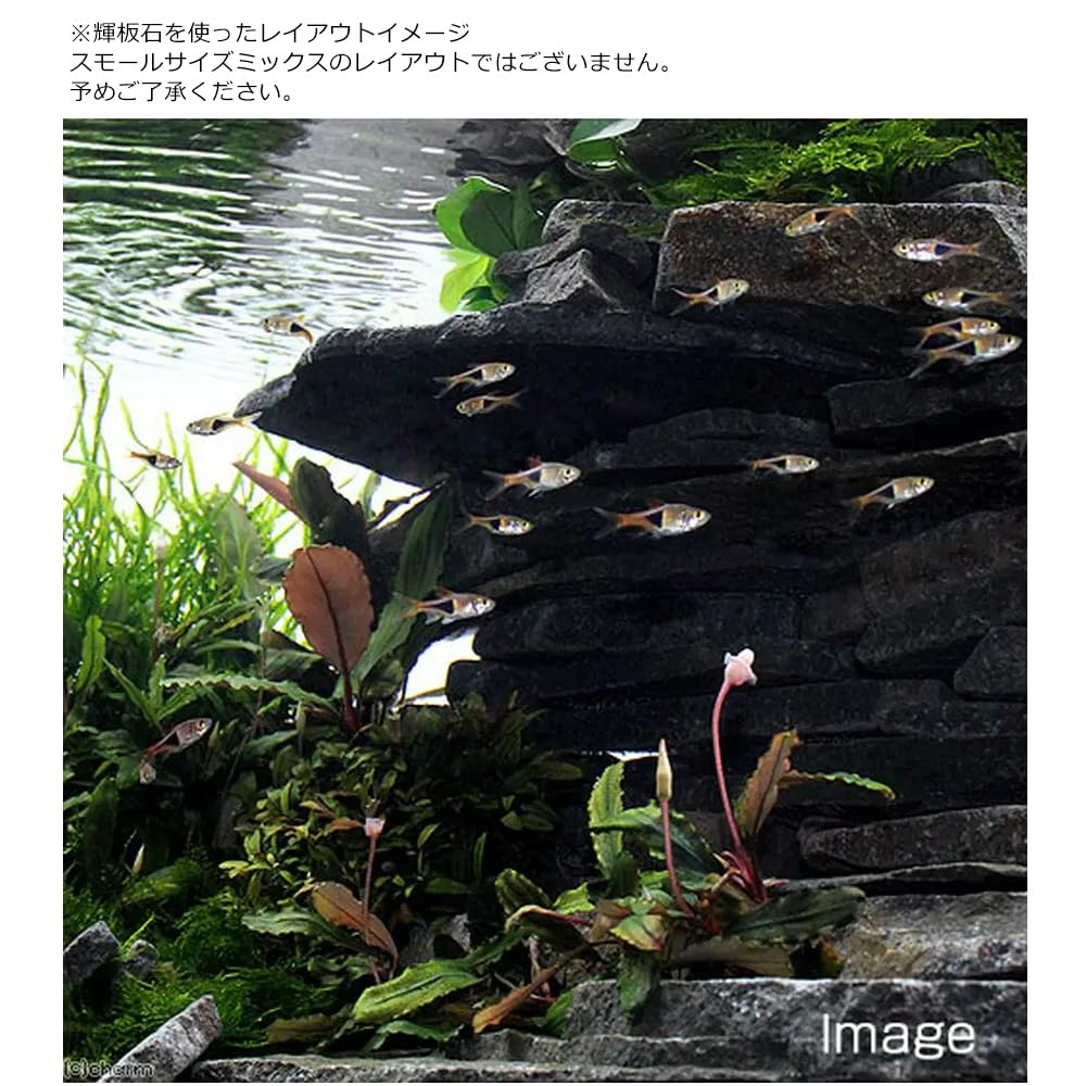 アクアリウム・水槽レイアウト用　積層石9個、輝板石13枚セット 楽天市場】形状お任せ 輝板石 サイズミックス 15kg 国産品